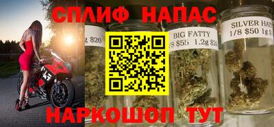 СК Сланцы