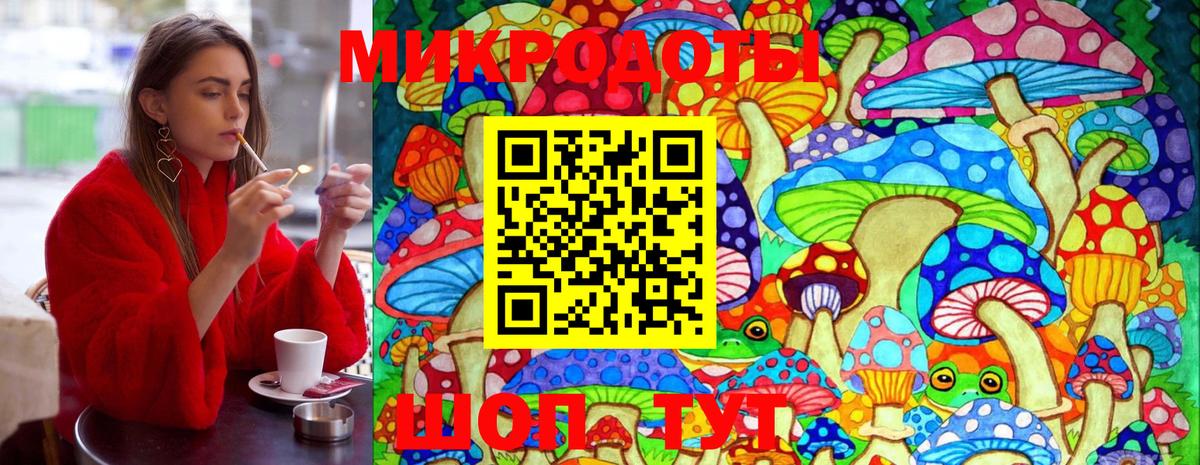 Галлюциногенные грибы Magic Shrooms Северобайкальск