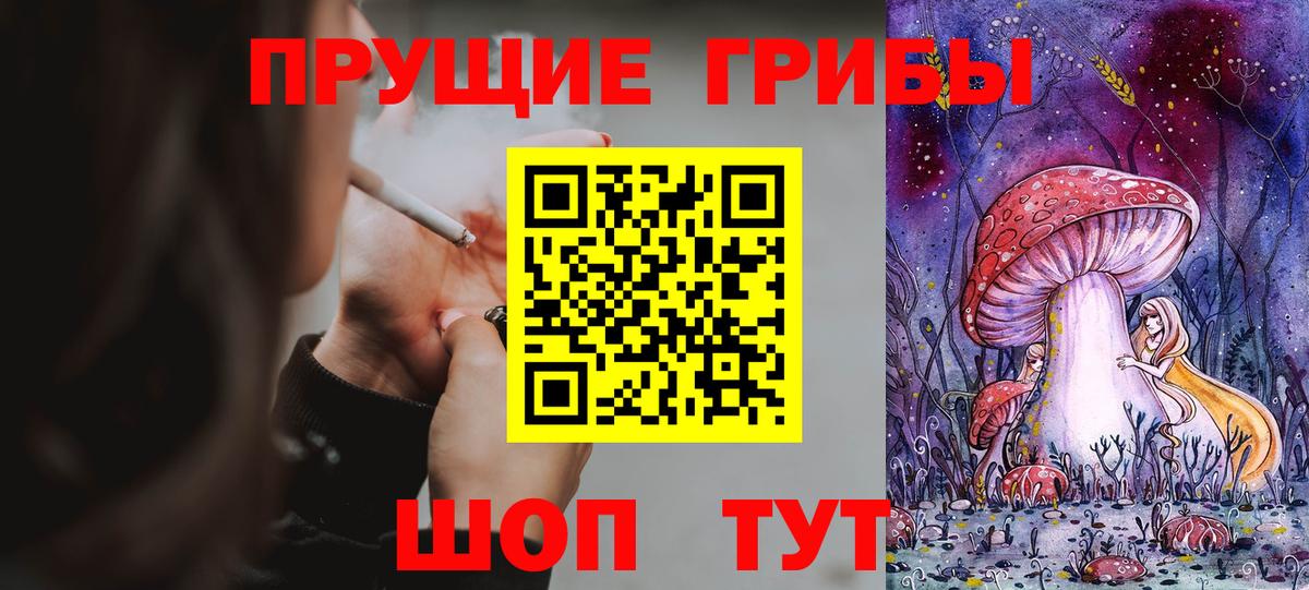 Северобайкальск  Псилоцибиновые грибы GOLDEN TEACHER  Вход с VPN 